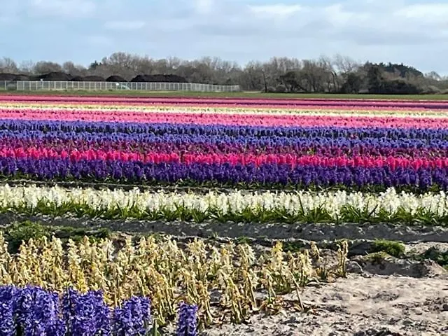 Villa Les coquilles la Torche à Penmarcʼh 0*,  France