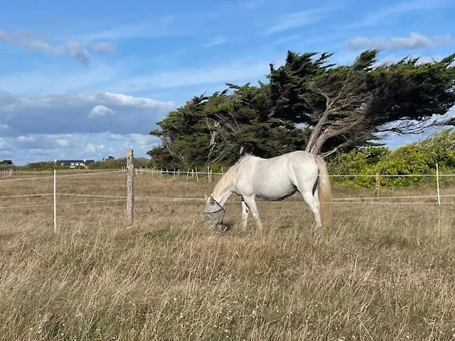 Villa Les coquilles la Torche à Penmarcʼh